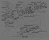 jeepq0002.jpg